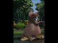 Madagascar Gloria a hipopotamo