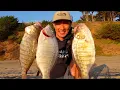 Download Lagu The Oldest Trick in the Surf Fishing Handbook - Carolina Rig (Surprise Catch)