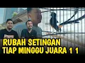 Download Lagu GANTI SETINGAN ABLAK 24 JAM ‼️ NYERI 1 1 Murai Babayaga di Kopdar MBB