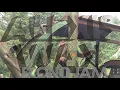 Alexis Wax - Econo Jam