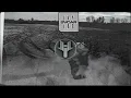 Ivy Lab - Svcar