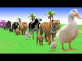 Lagu Long Slide Game with Cow Elephant Gorilla Hippopotamus Tiger 3d Animal Game Funny 3d Animals