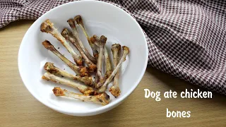 Can Dogs Eat Chicken Bones - By I Love Veterinary