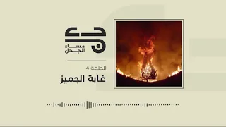 غابة الجميزة   مساء الجدل   الحلقة الرابعة دندنها