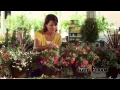 Mills Garden Center
