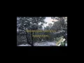 Download Lagu TEMOAN PENGANTEN BARU KARAOKE