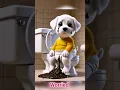 Download Lagu cute dog video | dog poop in pamper | #dog #doglover #dogs #shorts #dogshorts #viralvideo #dogvideos