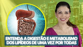 Entenda a Digestão e metabolismo dos lipídeos de uma vez por todas