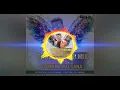 Download Lagu 03.NAVA NAVA SALU ME (Dholki piano Mix) DJ NIKHIL Palsana