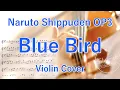 Download Lagu “Blue Bird” Naruto Shippuden OP3  (Violin Cover)