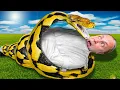 You Scream You Lose IRL