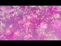 Chad Lawson - for such a gaze of wonder (feat. Esther Yoo)