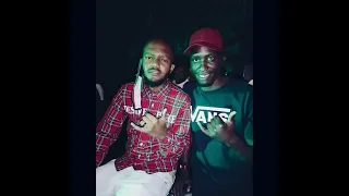 prince shadow kwesta s picture official audio