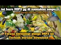 Lagu Suara pikat burung kecil ampuh sedunia buruan pakai MP3 ini ❗