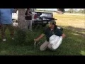 Solo Travel Girl Learns How to Bag a Burmese Python During FWC s 2016 Python Challenge Training