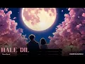 Download Lagu Hale Dil (Slowed Reverb) Murder 2 | Emran Hashmi | Jacqueline F | Harshit Saxena | Harrykahanhai