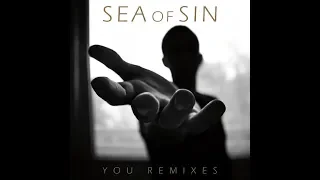 Sea Of Sin You Blume Remix 