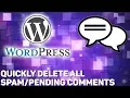 Quickly DELETE All Spam Comments on WordPress Free Plugin