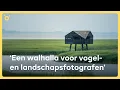Download Lagu Ontdek VOGELHUT de KIEKKAASTE | Pinned