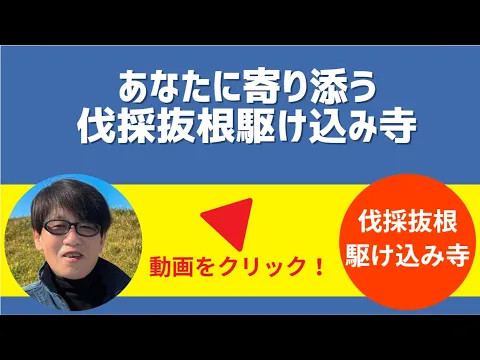 【非破壊抜根を科学する伐採抜根駆け込み寺】ブロックや配管を破損せずに抜根します！