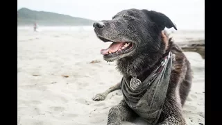 How Comfortable is Wild Camping on a Motorbike? – Moto Dog Diaries 5