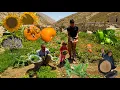 Download Lagu 🍇🌶🫑Harvesting Nomadic Garden Products in the Mountains 🌿 | Nomadic Life with Fresh Homemade Food 🫑🧅