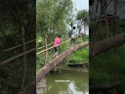 बच्चों के स्कूल जाने का रास्ता प्राकृतिक ने बना दिया 😍 #shorts