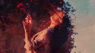 lazarus moment bird flies home