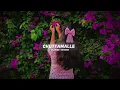 Chuttamalle (Slowed + Reverb) Shilpa Rao | Anirudh Ravichander | Lofi Version |Ameen Fahim