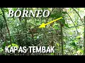 Download Lagu TRIK MIKAT BURUNG KAPAS TEMBAK II BORNEO