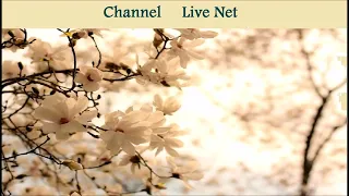 اريام صوتك يكفيني دندنها