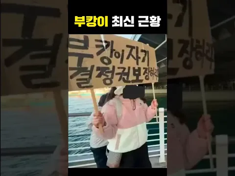 부캉이 최신 근황