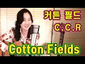 Download Lagu Cotton Fields (C.C.R) - 드디어나왔다! 기다리던 그 영상 ★강지민★ Kang jimin