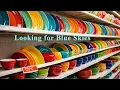Shopping at the Fiestaware Outlet for the New Color 2024