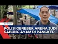 Download Lagu Heboh! Polisi Gerebek Arena Judi Sabung Ayam di Pangkep, Pelaku Lari Kocar-Kacir| BERITA UTAMA