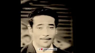 الموسيقار محمد الموجي  الموسيقار محمد الموجي