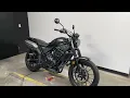 2025 HONDA SCL500