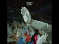 Bappa MoreYeah