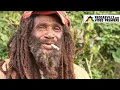 Download Lagu Binghi - Rastafari Love [Official Video 2025]