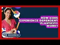 How Does Experience-Dependent Plasticity Work - Brain Development Hub