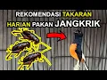 Download Lagu Manfaat JANGKRIK Untuk Burung Murai Batu dan TAKARAN Yang Pas Untuk HARIAN