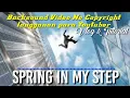 Download Lagu Spring In My Step - Silent Partner (No Copyright Music) Backsound video langganan para youtuber