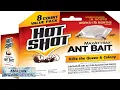 Hot Shot Ant Bait Kills the Queen and Colony Works for 6 Review
