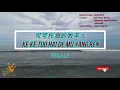 Download Lagu Ke Ke Tuo Hai Te Mu Yang Ren (可可托海的牧羊人) Female Version - Karaoke mandarin with drone view