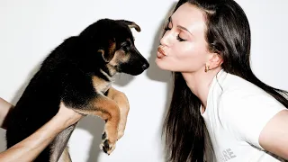 Playboy x Hot Girls Care: Puppies Looking for Their Forever Homes | PLAYBOY