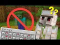 NO ZOMBIE Iron Farm EXPLAINED