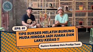 Download HAMZAH, CASILLAS, TRUE LOVE DAN TINER LAHIR DARI KANDANG INI !! SEMUA BURUNG BERBAKAT DAN JUARA !! MP3