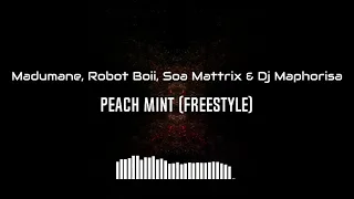 madumane robot boii soa mattrix u0026 dj maphorisa peach mint freestyle