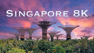 Singapore Real 8K 