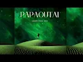 PAPAOUTAI AMAPIANO MIX BY ICE BEATS SLIDE X SBUDA MALEATHER #amapiano #papaoutai #papaoutaichallenge